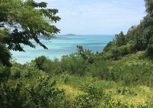 land sale, Plai Laem, Koh Samui, sea view
