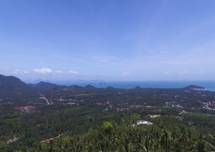 land for sale, sea view, Koh Samui, Lipa Noi, discount price