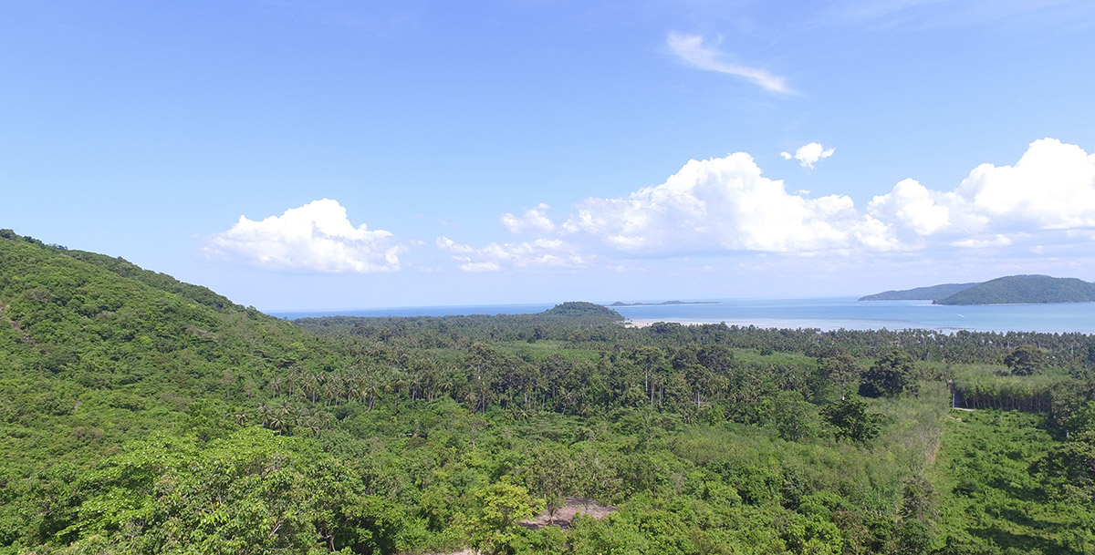 Sea View Land For Sale Tong krut, Koh Samui (Thai-Real.com)