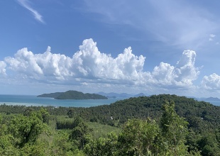 Sea View Land For Sale Tong krut, Koh Samui (Thai-Real.com)