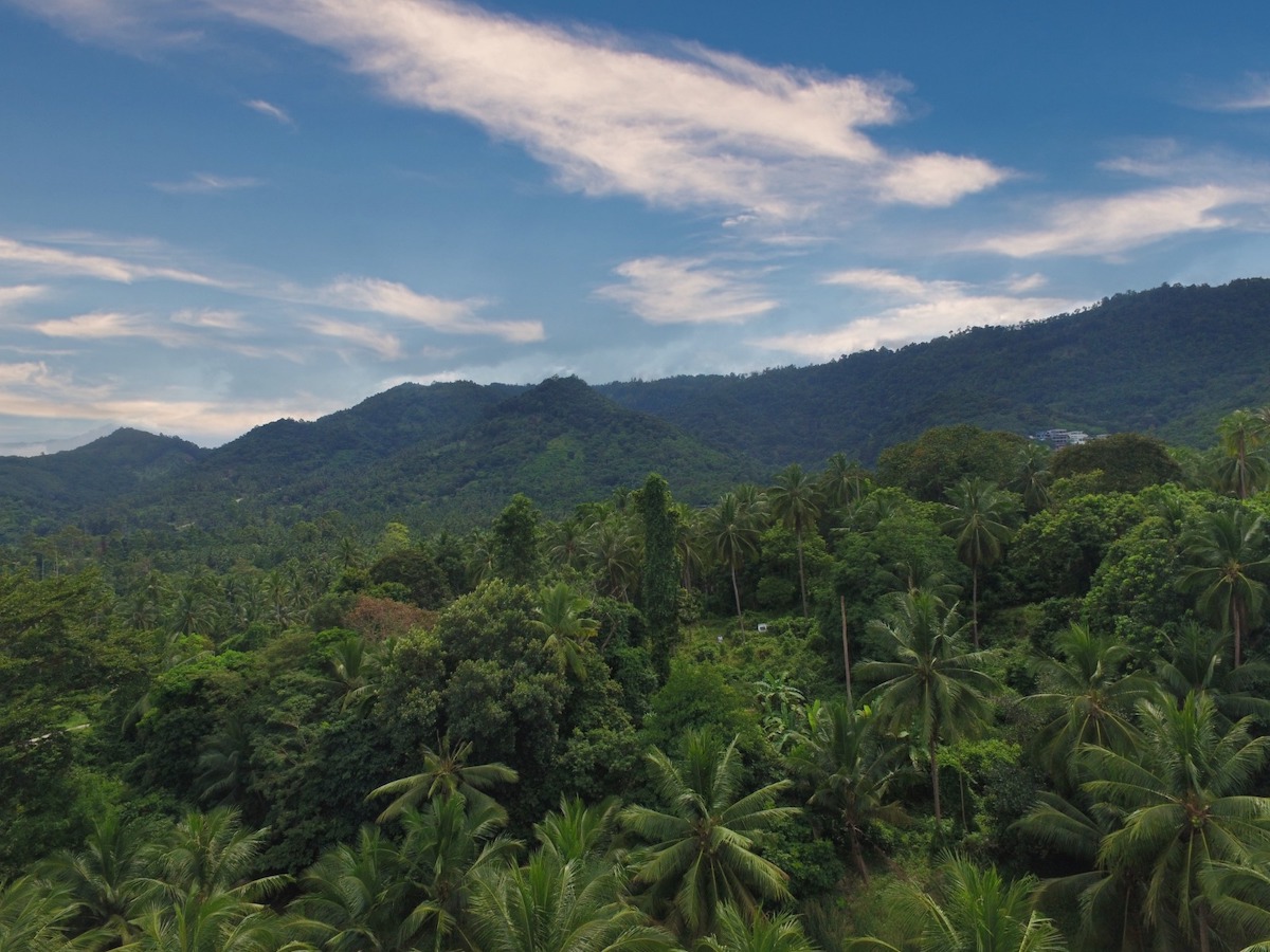 10 Rai Sea View Land For Sale Maenam, Koh Samui (Thai-Real.com)