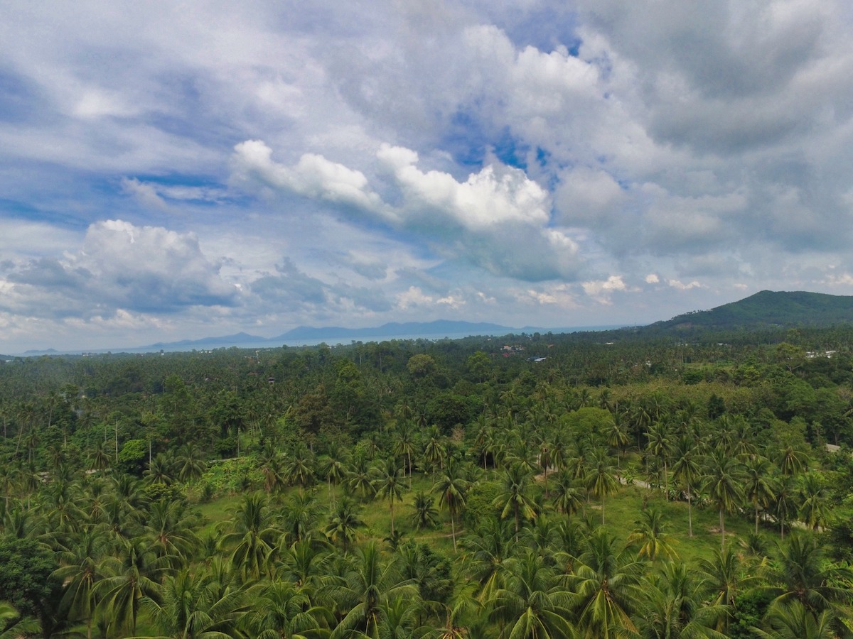 10 Rai Sea View Land For Sale Maenam, Koh Samui (Thai-Real.com)