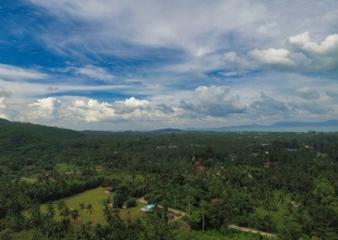 10 Rai Sea View Land For Sale Maenam, Koh Samui (Thai-Real.com)