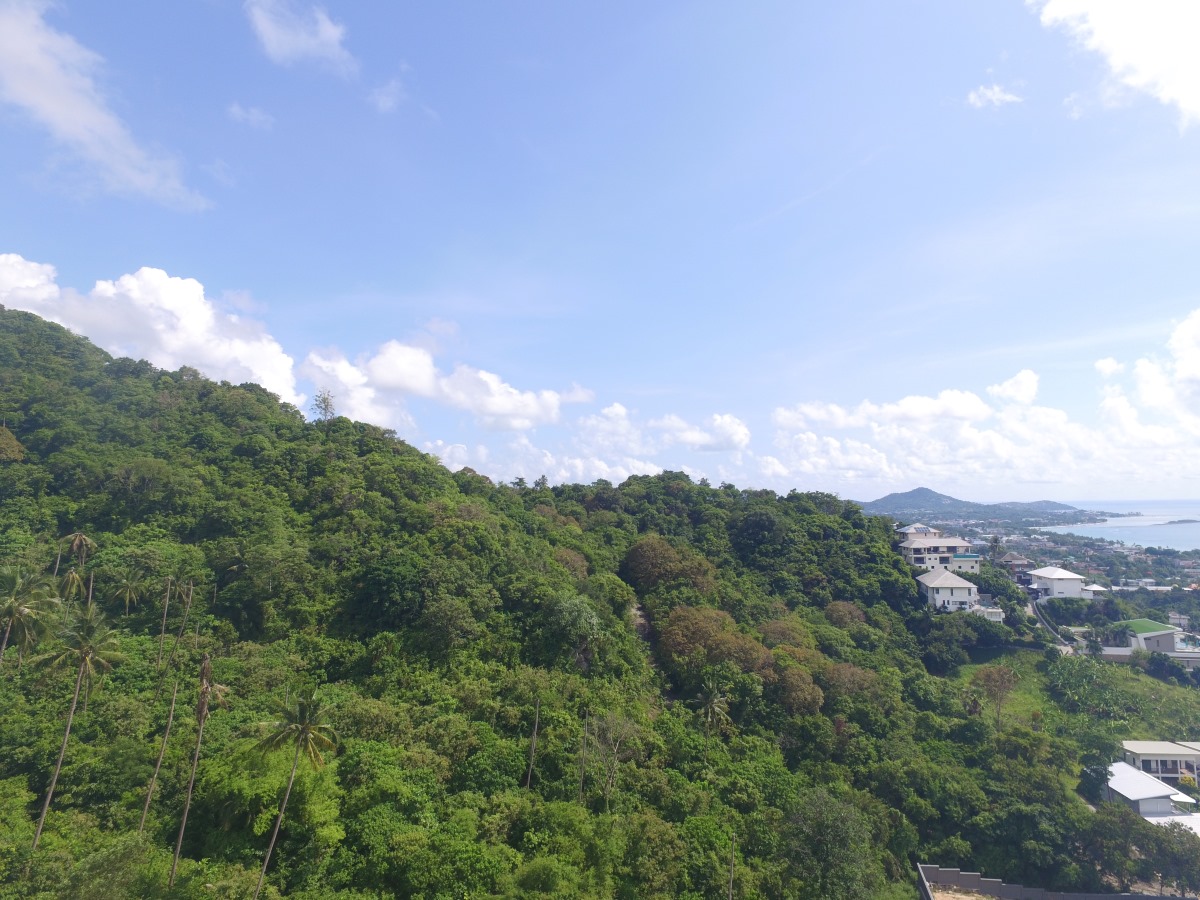 13 Rai Seaview Land For Sale Chaweng Noi, Koh Samui (Thai-Real.com)