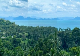 Taling Ngam land for sale, Koh Samui sea view land, sunset view property Koh Samui, luxury villa land Koh Samui, west facing land Koh Samui, InterContinental Hotel view land, panoramic ocean view land Thailand, Koh Taen view land, Koh Matsum view, Koh Rap view, Thailand real estate, Koh Samui property investment, Thai-Real.com
